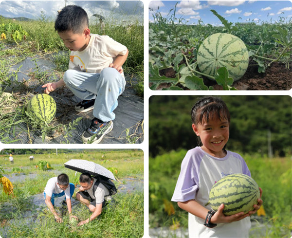 趣游盛夏，一路童行—2024年廣東博皓親子游   -12