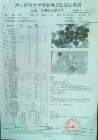 高俊的血液、骨髓檢查報(bào)告單